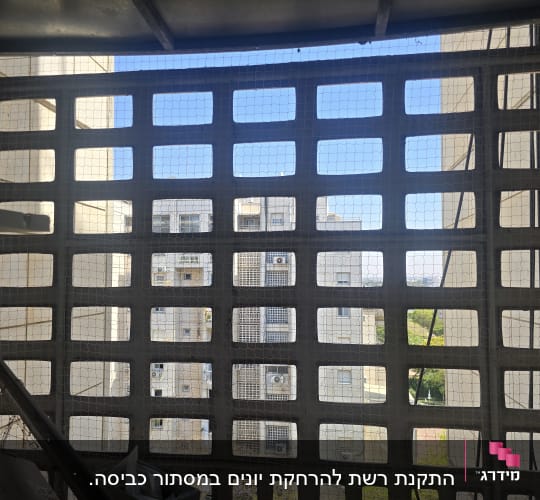 רשת יונים מותקנת על חלון בניין